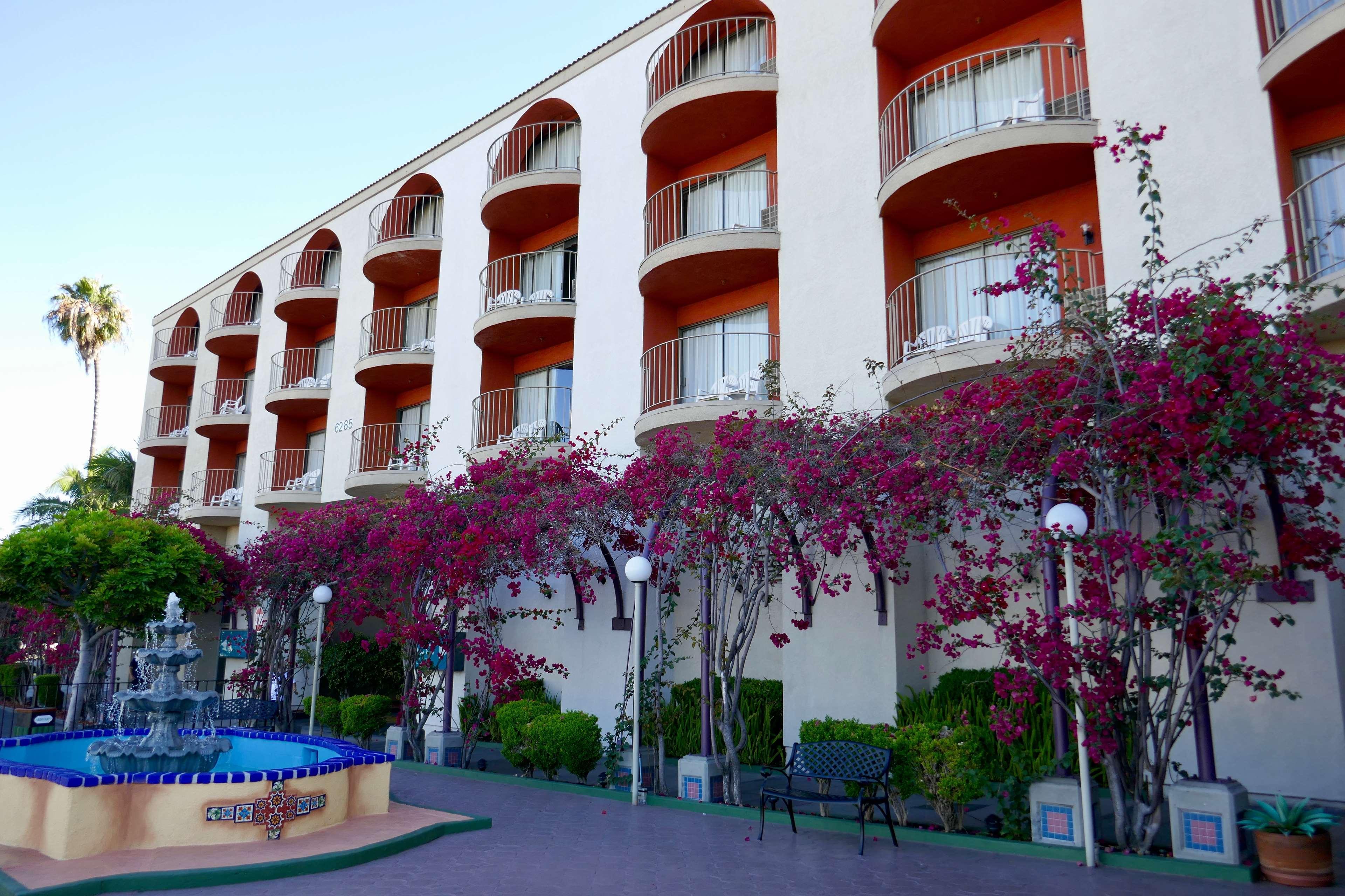 'לונג ביץ Best Western Golden Sails Hotel מראה חיצוני תמונה